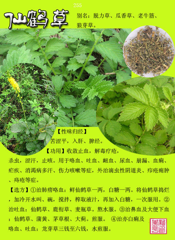 【转载】中草药300种图谱(友情链接)