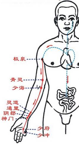 心经不通的常见症状:心烦心惊心悸心闷心痛;短气上气有压力感忧郁易怒