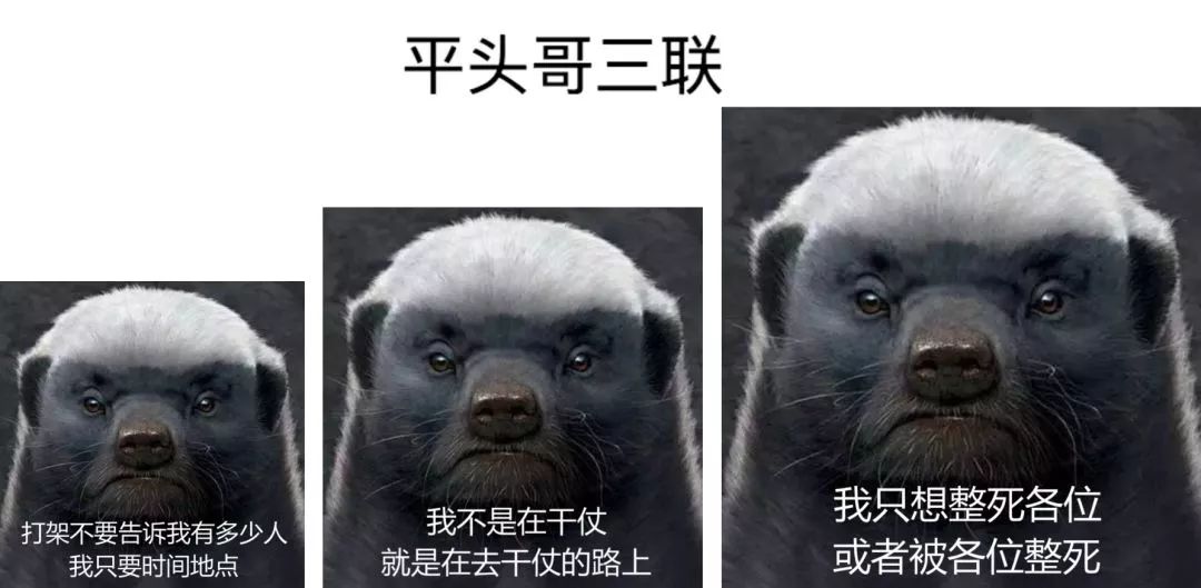 做人当如平头哥生死看淡不服就干