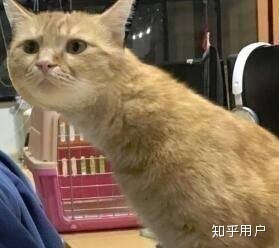 如何评价创造101的徐梦洁被爆抽烟纹身钉唇钉?