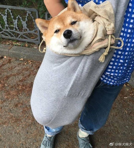 现代的大部分女性并没有受到不公平待遇,可是为什么会