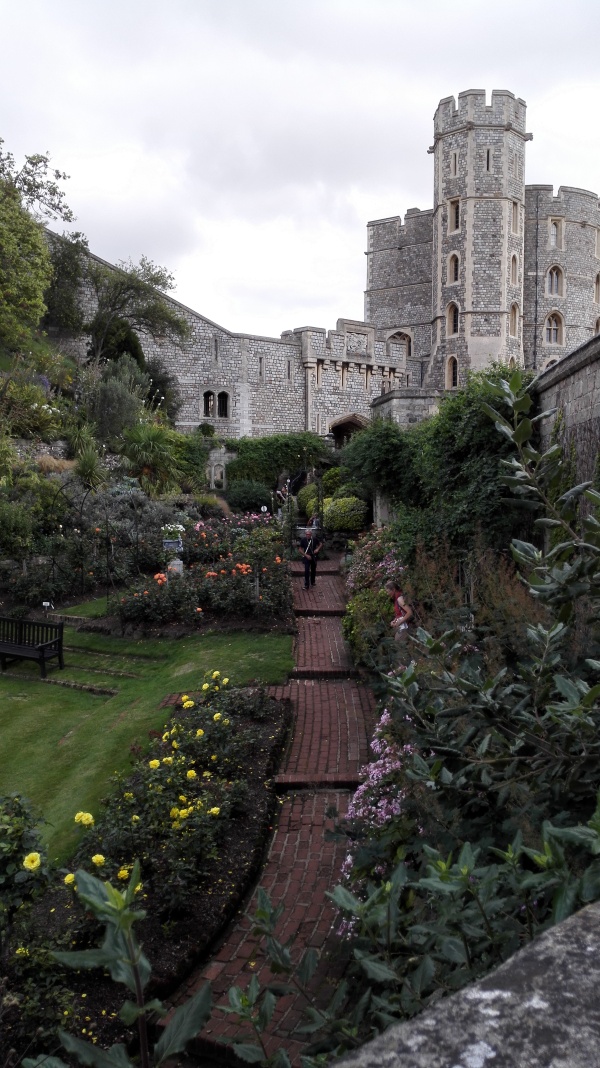 城堡中的小花园